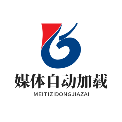 WhatsApp 媒体自动加载